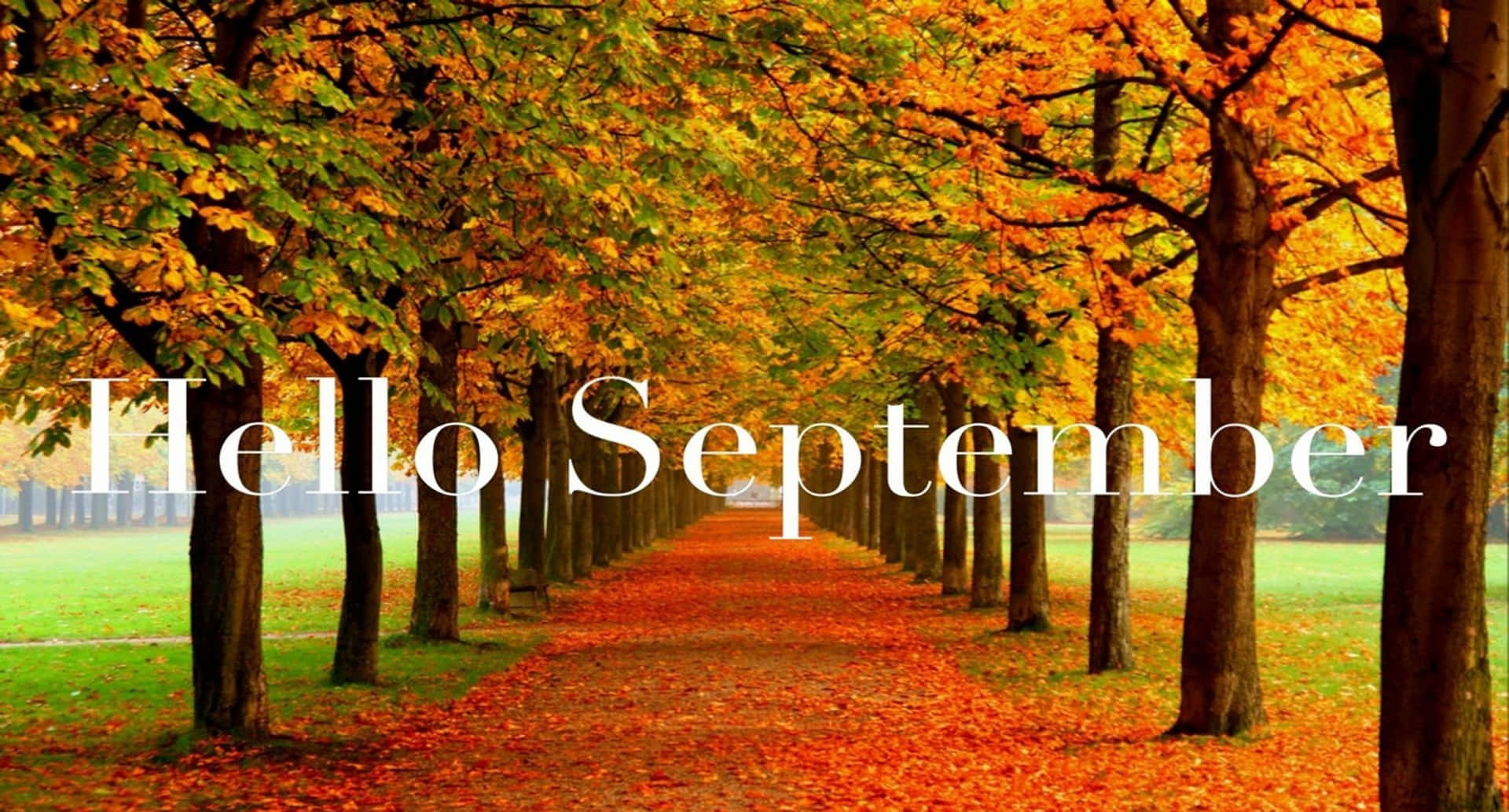 hello-september-0vdz9zpslk88uqqe.jpg
